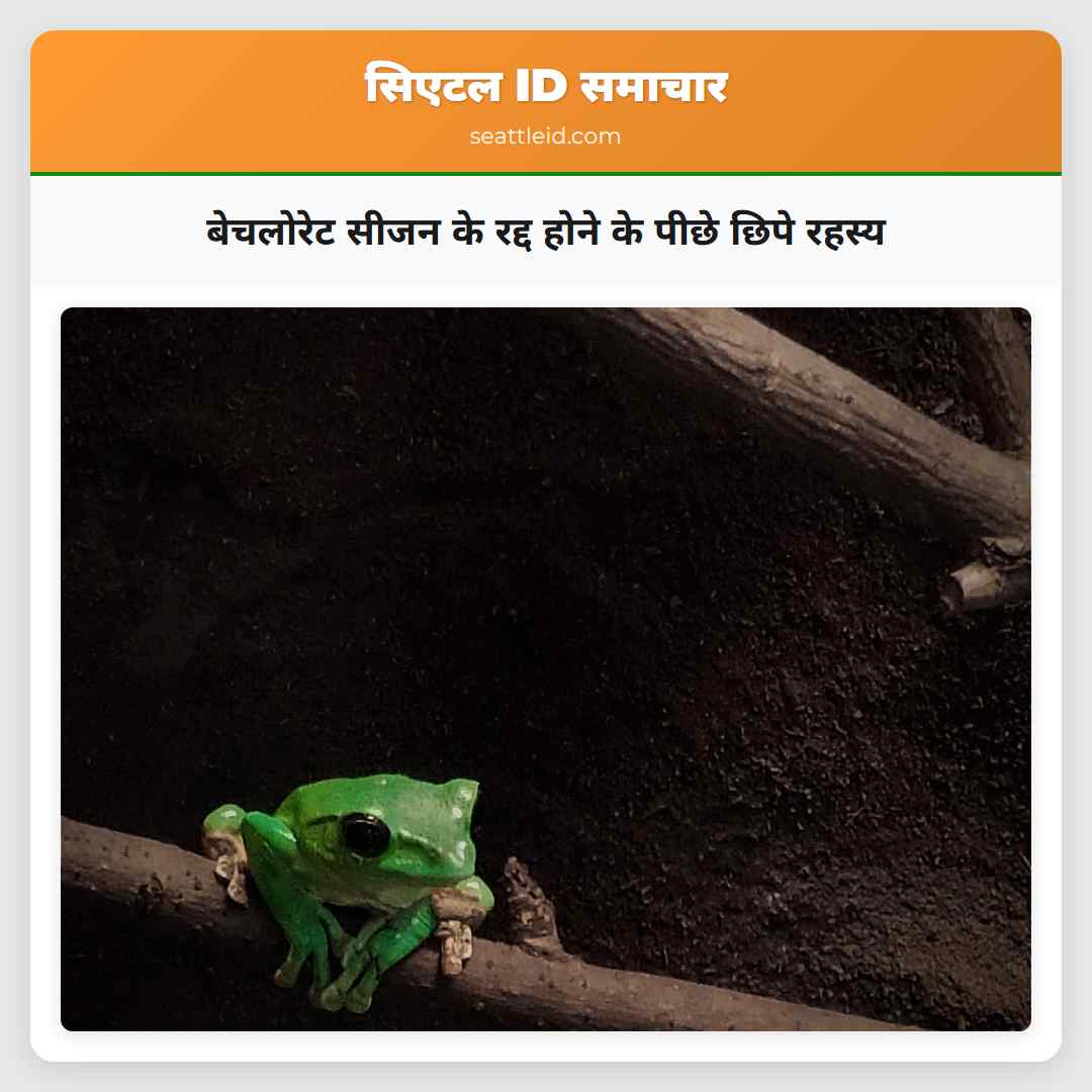 बेचलोरेट सीजन के रद्द होने के पीछे छिपे रहस्य