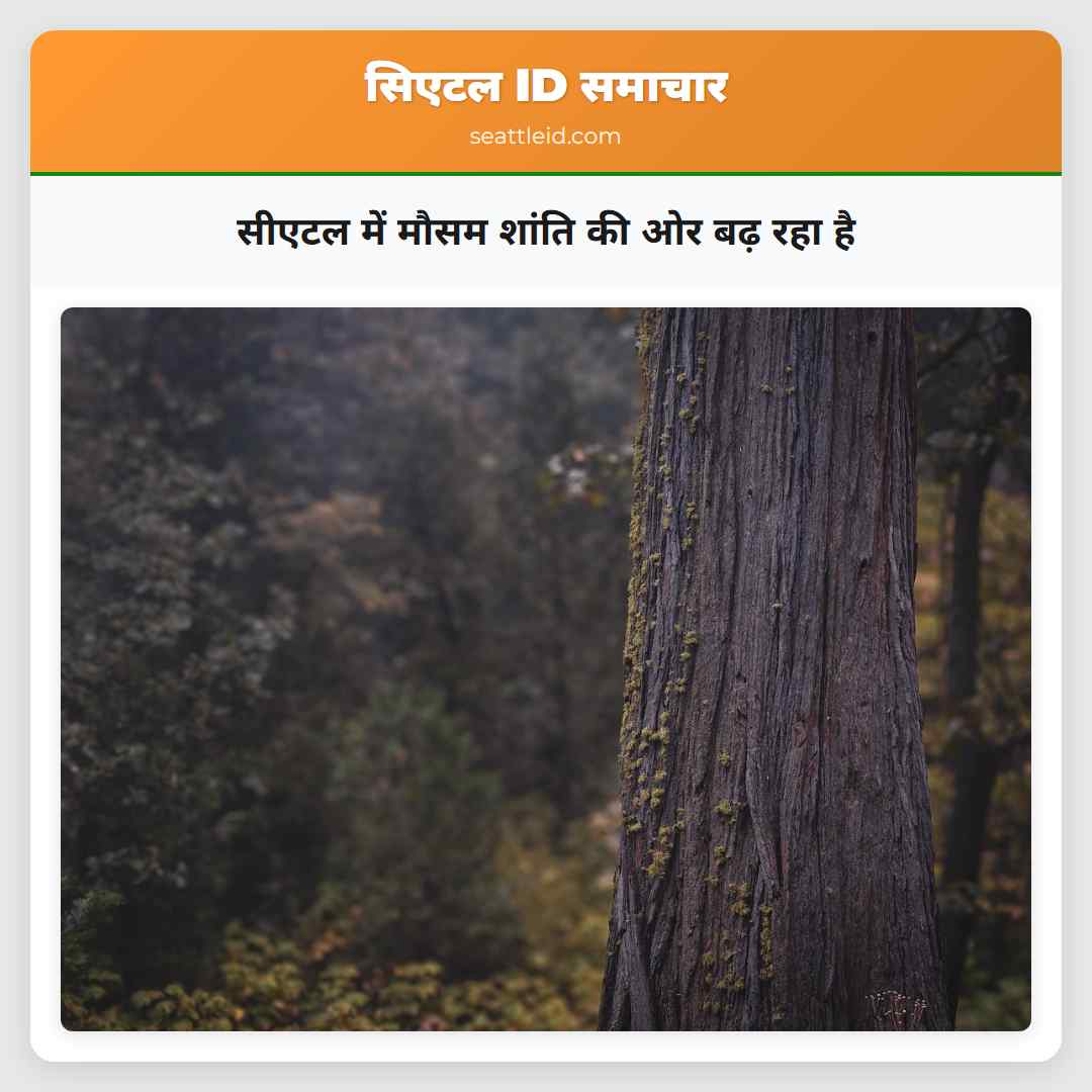 सीएटल में मौसम शांति की ओर बढ़ रहा है