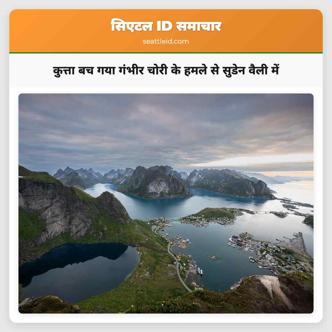 कुत्ता बच गया गंभीर चोरी के हमले से सुडेन वैली में