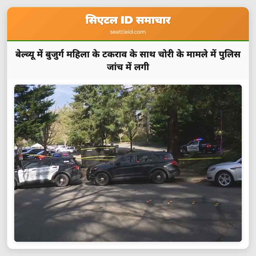 बेल्व्यू में बुजुर्ग महिला के टकराव के साथ चोरी