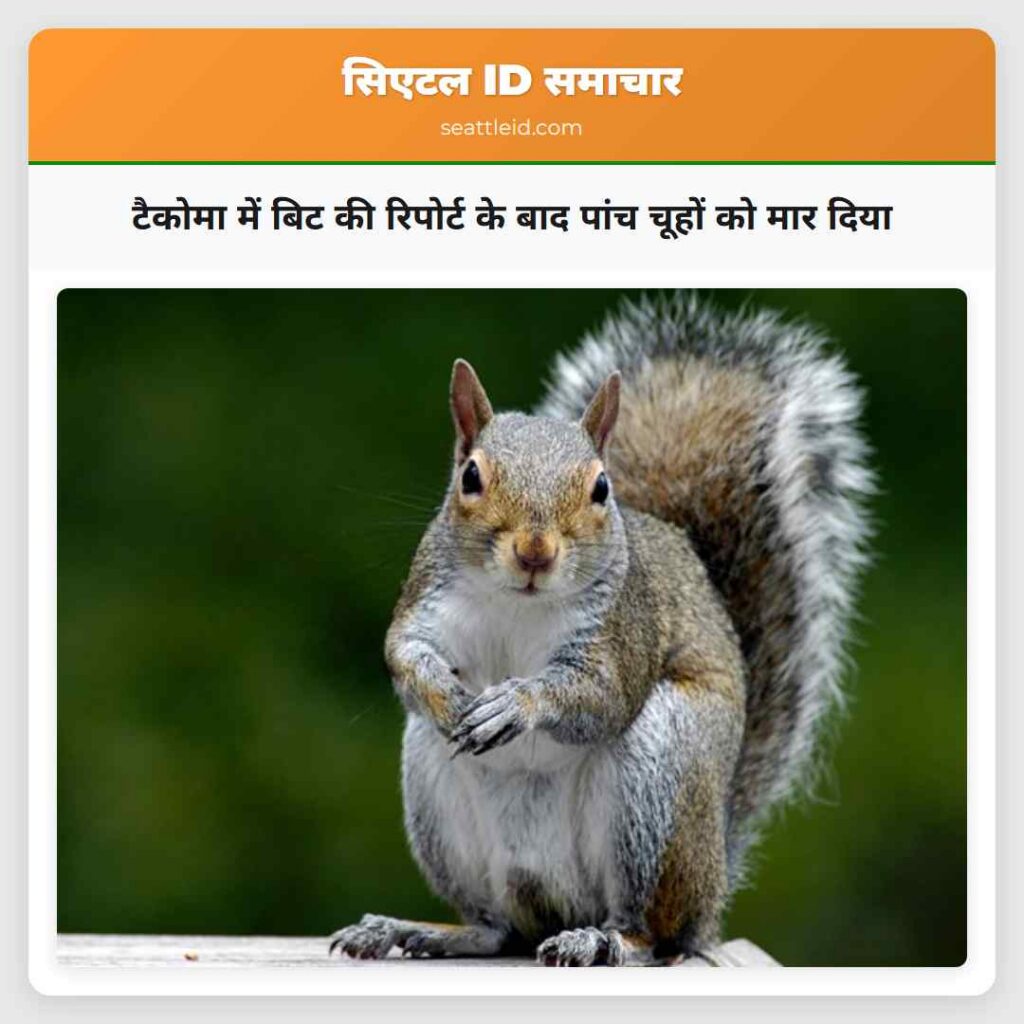 टैकोमा में बिट की रिपोर्ट के बाद पांच चूहों को