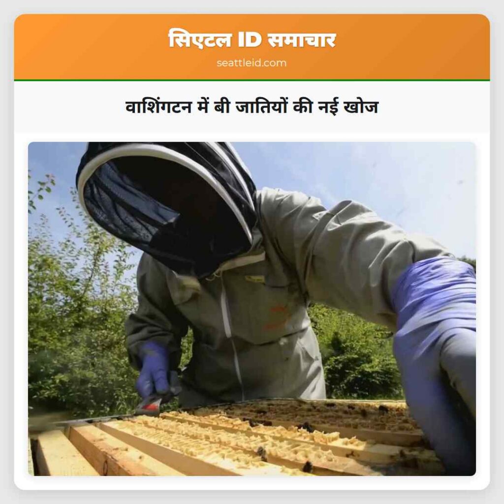 वाशिंगटन में बी जातियों की नई खोज
