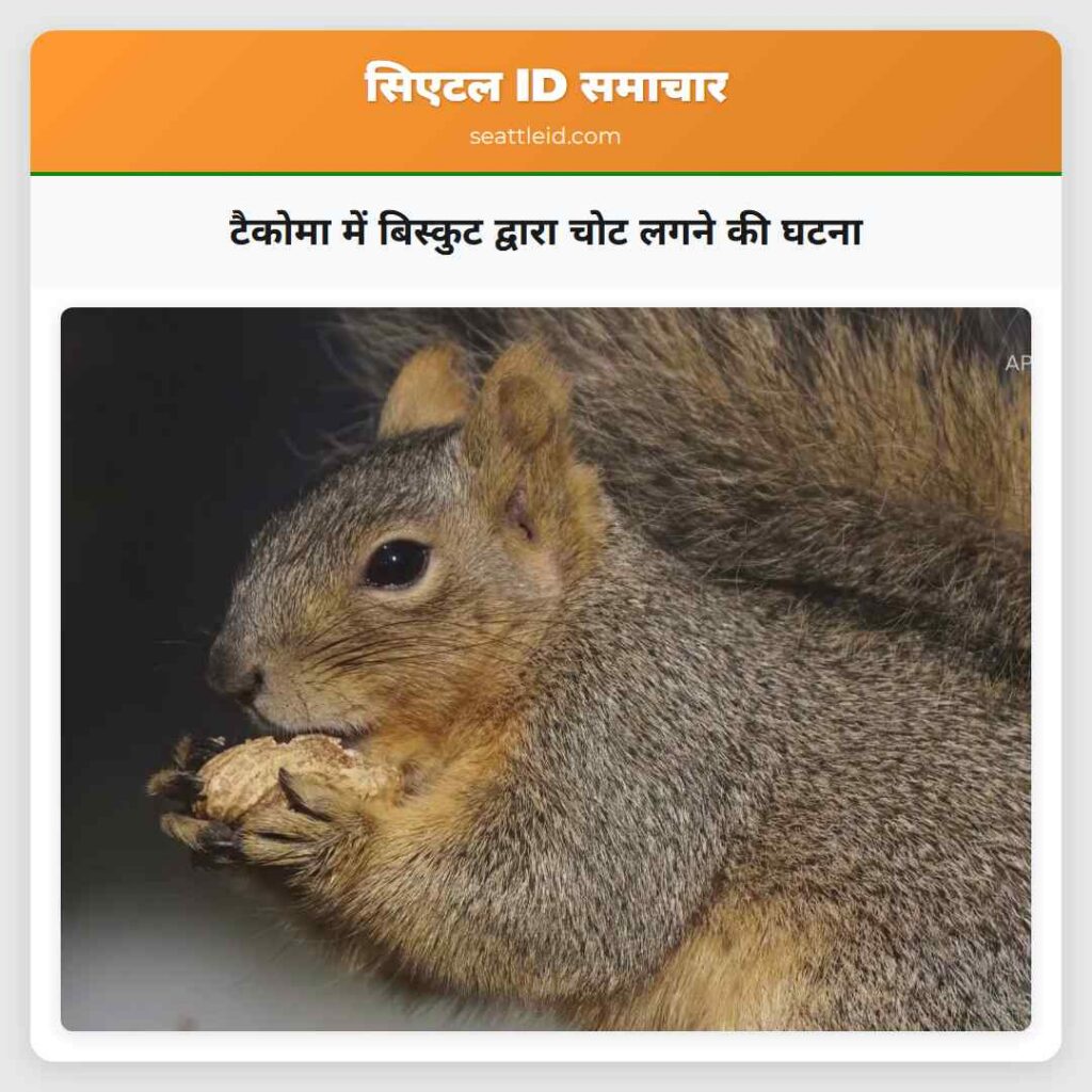 टैकोमा में बिस्कुट द्वारा चोट लगने की घटना