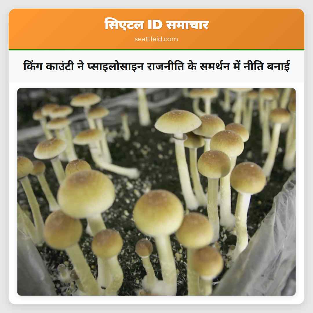 किंग काउंटी ने प्साइलोसाइन राजनीति के समर्थन में