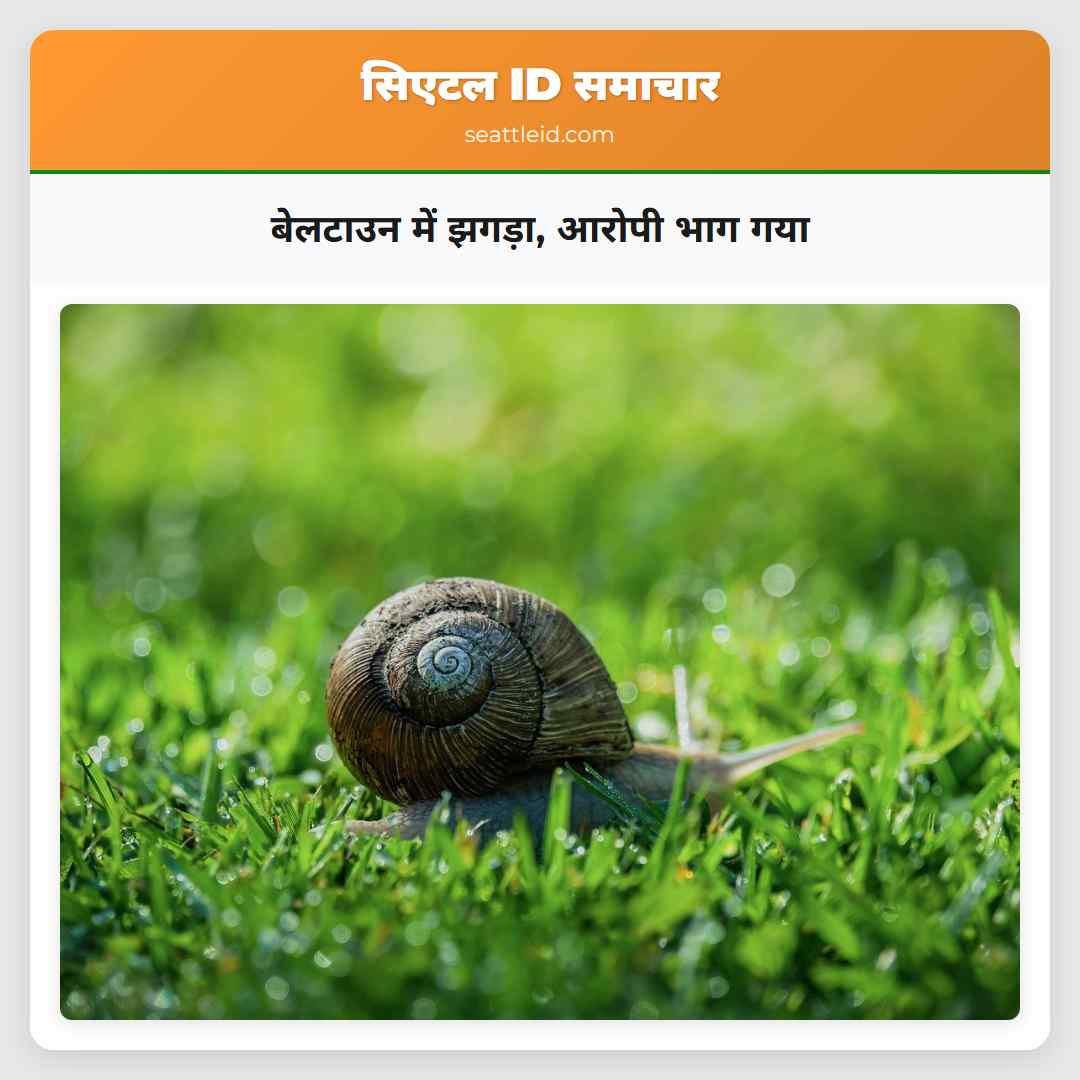 बेलटाउन में झगड़ा, आरोपी भाग गया