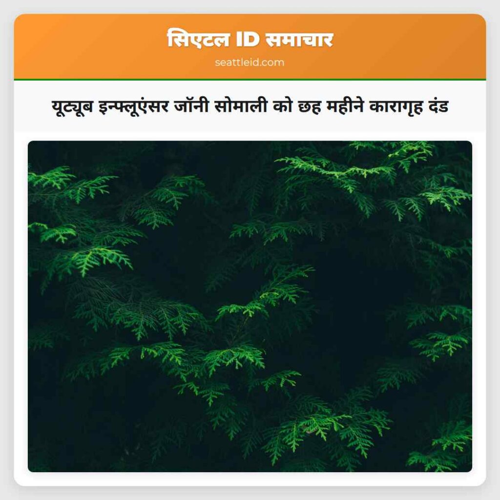 यूट्यूब इन्फ्लूएंसर जॉनी सोमाली को छह महीने