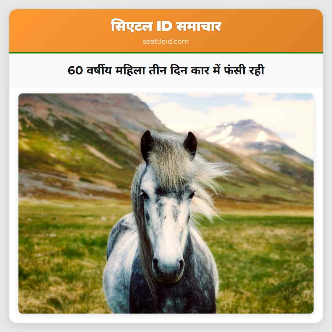 60 वर्षीय महिला तीन दिन कार में फंसी रही