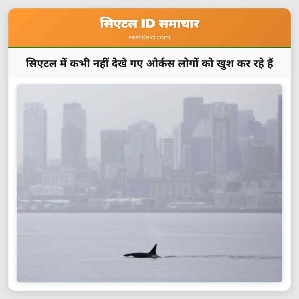 सिएटल में कभी नहीं देखे गए ओर्कस लोगों को खुश कर