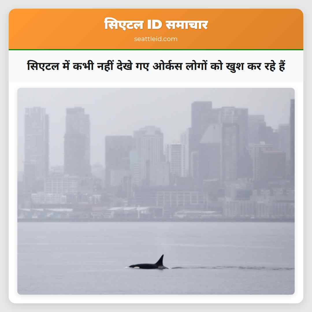 सिएटल में कभी नहीं देखे गए ओर्कस लोगों को खुश कर