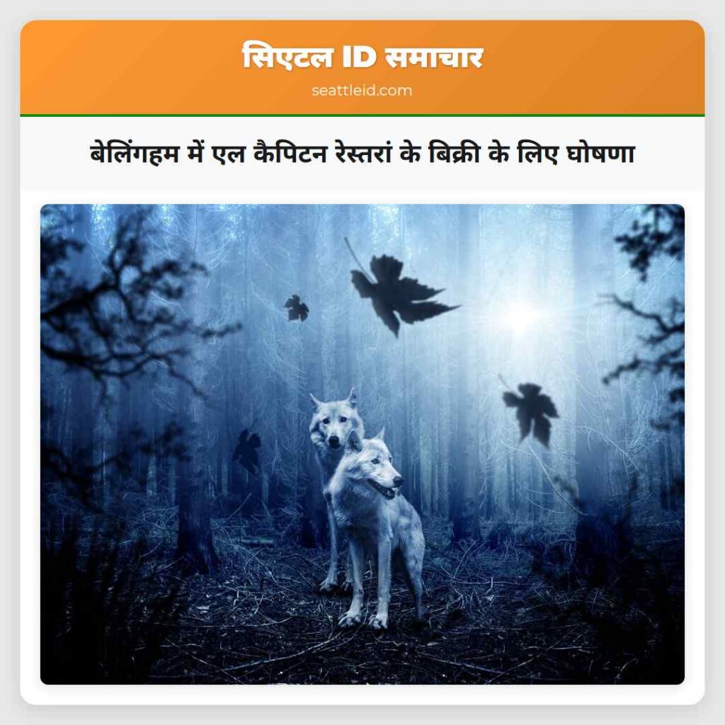 बेलिंगहम में एल कैपिटन रेस्तरां के बिक्री के लिए