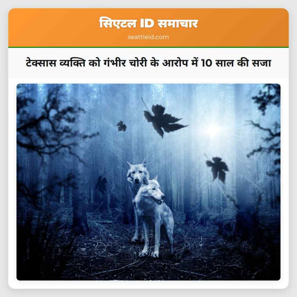 टेक्सास व्यक्ति को गंभीर चोरी के आरोप में 10 साल