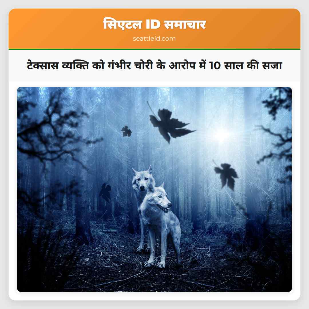 टेक्सास व्यक्ति को गंभीर चोरी के आरोप में 10 साल