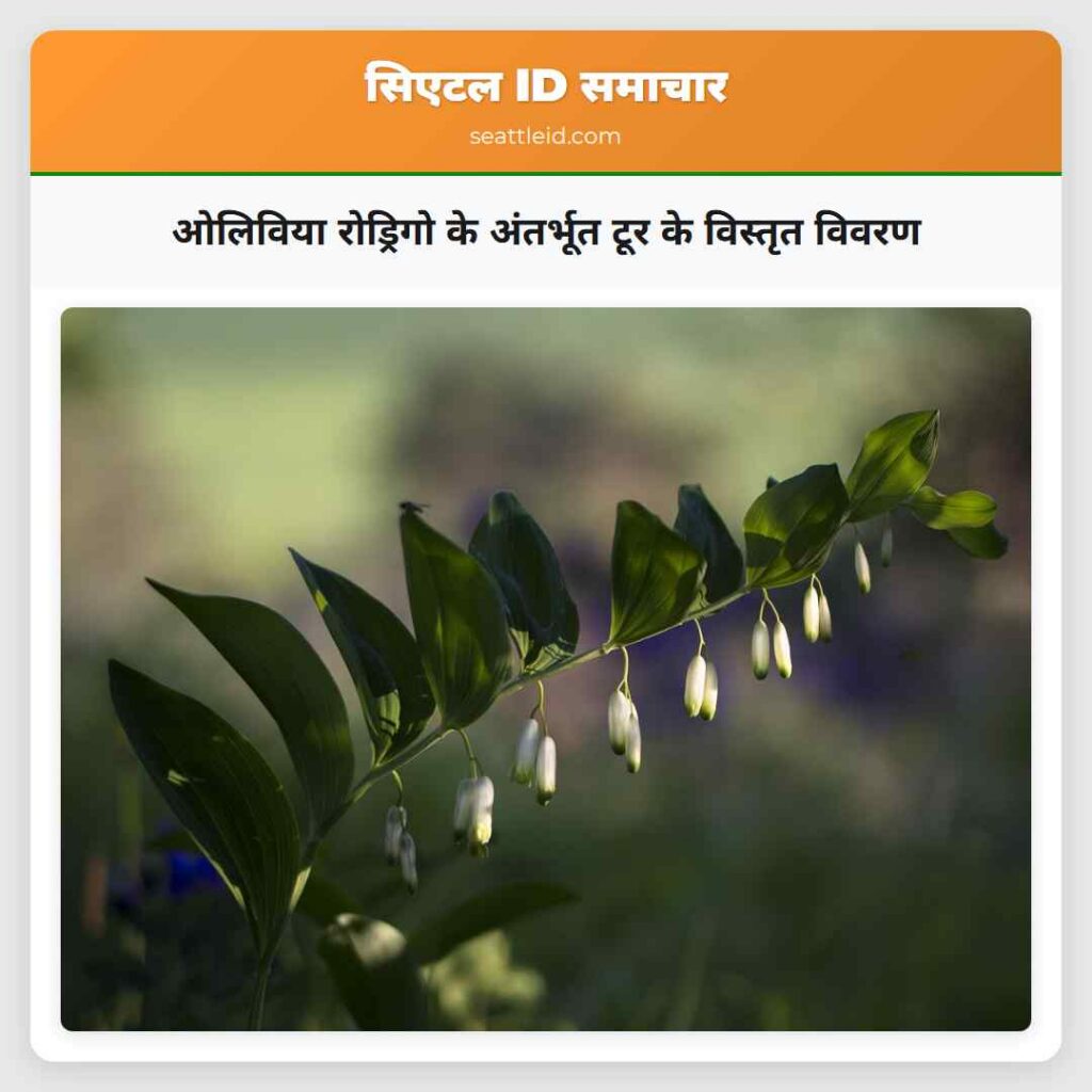 ओलिविया रोड्रिगो के अंतर्भूत टूर के विस्तृत विवरण