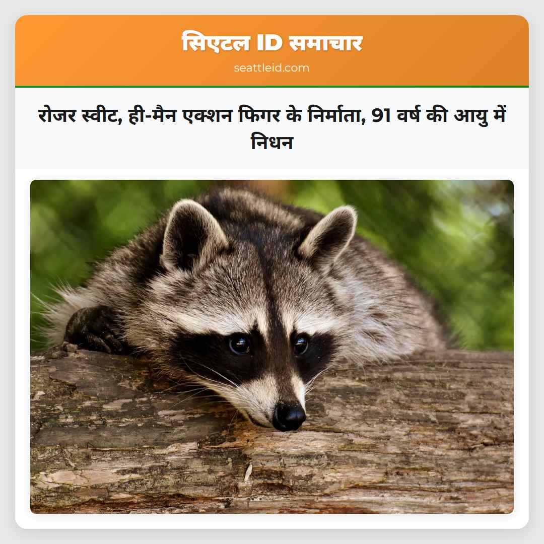 रोजर स्वीट ही-मैन एक्शन फिगर के निर्माता 91 वर्ष की आयु में निधन