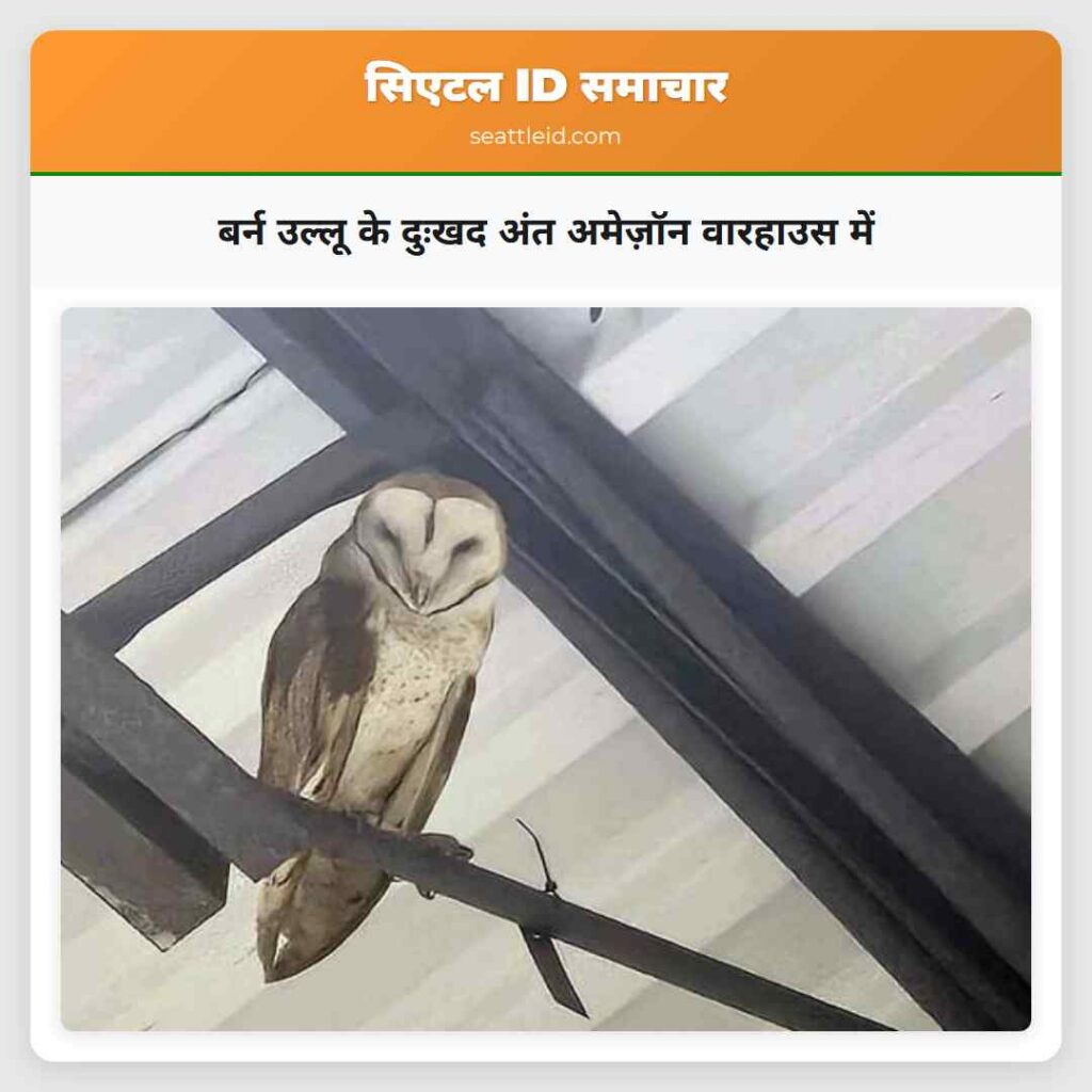 बर्न उल्लू के दुःखद अंत अमेज़ॉन वारहाउस में