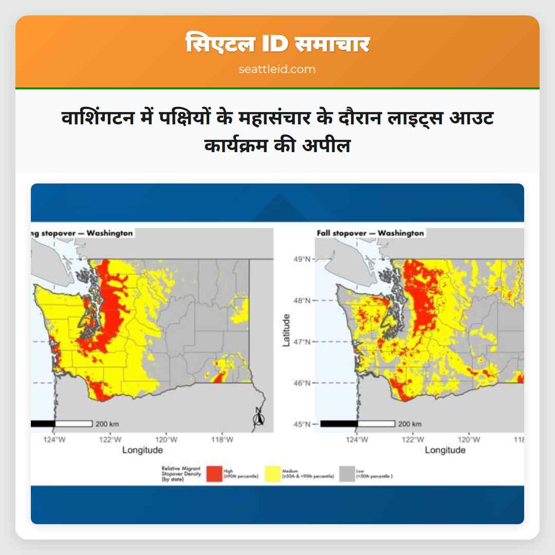 वाशिंगटन में पक्षियों के महासंचार के दौरान लाइट्स