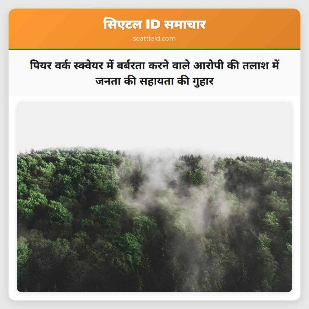 पियर वर्क स्क्वेयर में बर्बरता करने वाले आरोपी की