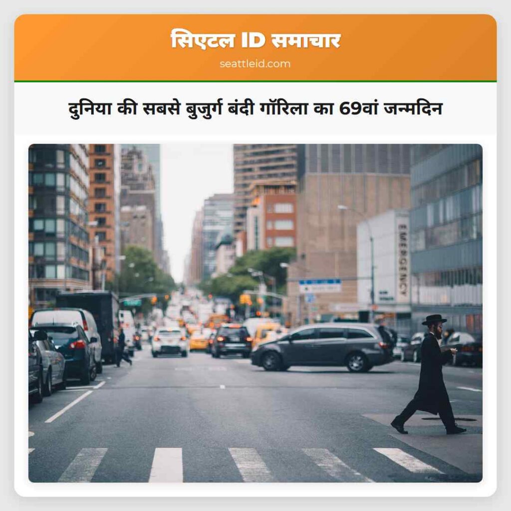 दुनिया की सबसे बुजुर्ग बंदी गॉरिला का 69वां