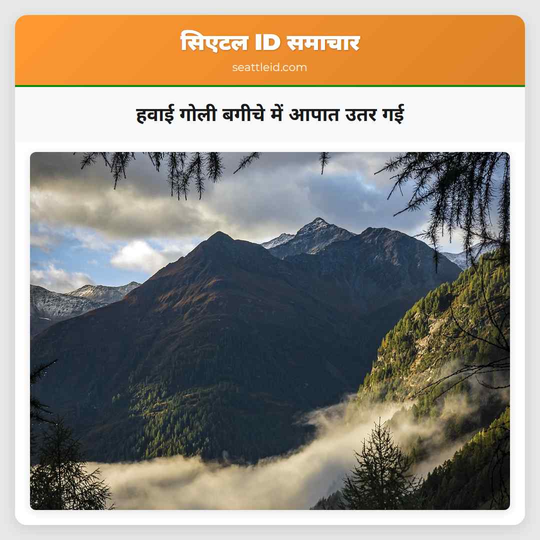 हवाई गोली बगीचे में आपात उतर गई