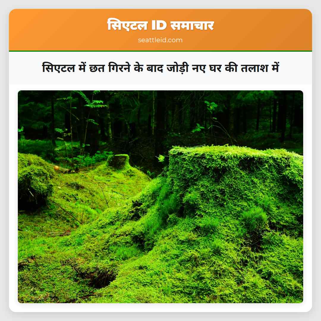 सिएटल में छत गिरने के बाद जोड़ी नए घर की तलाश में