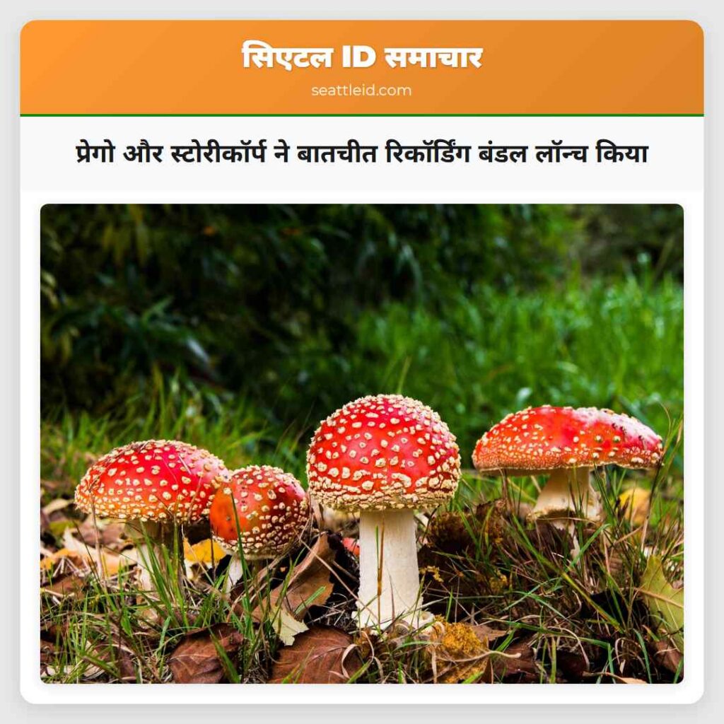 प्रेगो और स्टोरीकॉर्प ने बातचीत रिकॉर्डिंग बंडल