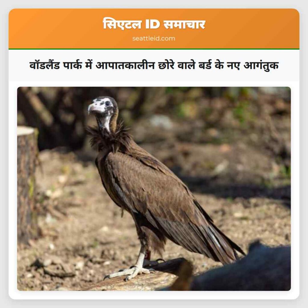 वॉडलैंड पार्क में आपातकालीन छोरे वाले बर्ड के नए