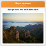 व्हिडबे द्वीप पर नए ओर्का बच्चे के तैराकर देखे गए