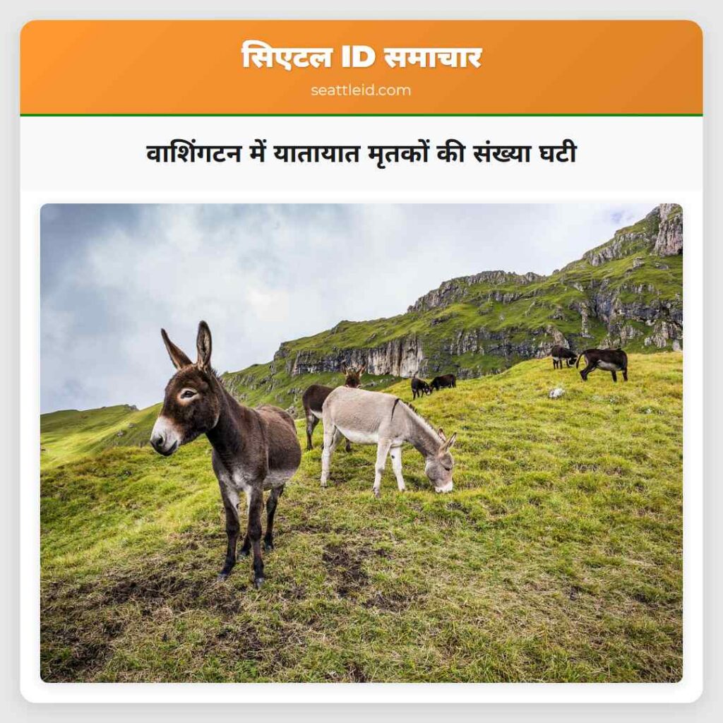 वाशिंगटन में यातायात मृतकों की संख्या घटी