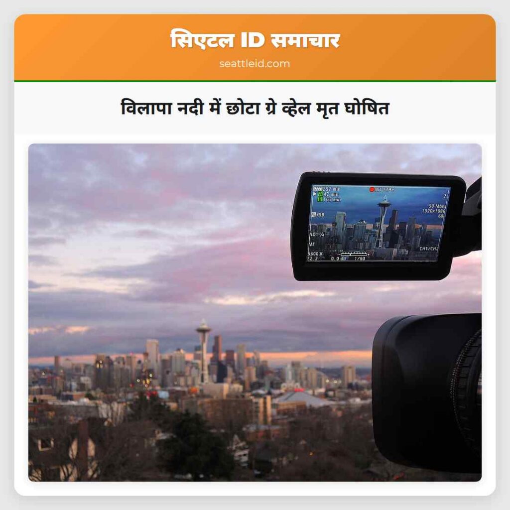 विलापा नदी में छोटा ग्रे व्हेल मृत घोषित