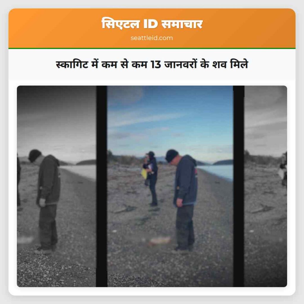 स्कागिट में कम से कम 13 जानवरों के शव मिले