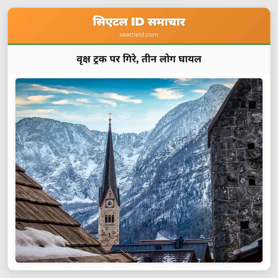 वृक्ष ट्रक पर गिरे, तीन लोग घायल