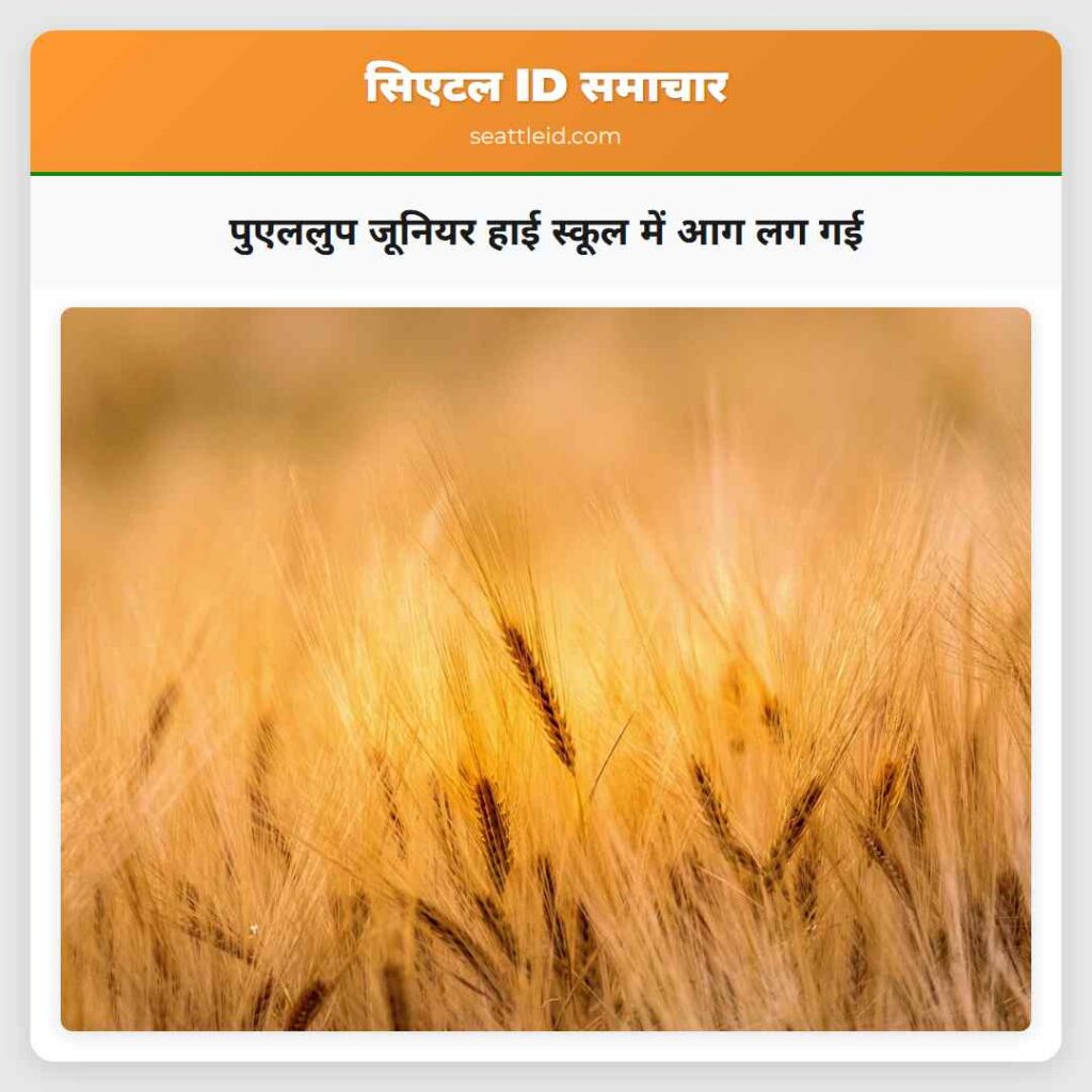 पुएललुप जूनियर हाई स्कूल में आग लग गई