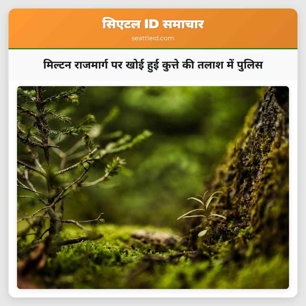 मिल्टन राजमार्ग पर खोई हुई कुत्ते की तलाश में