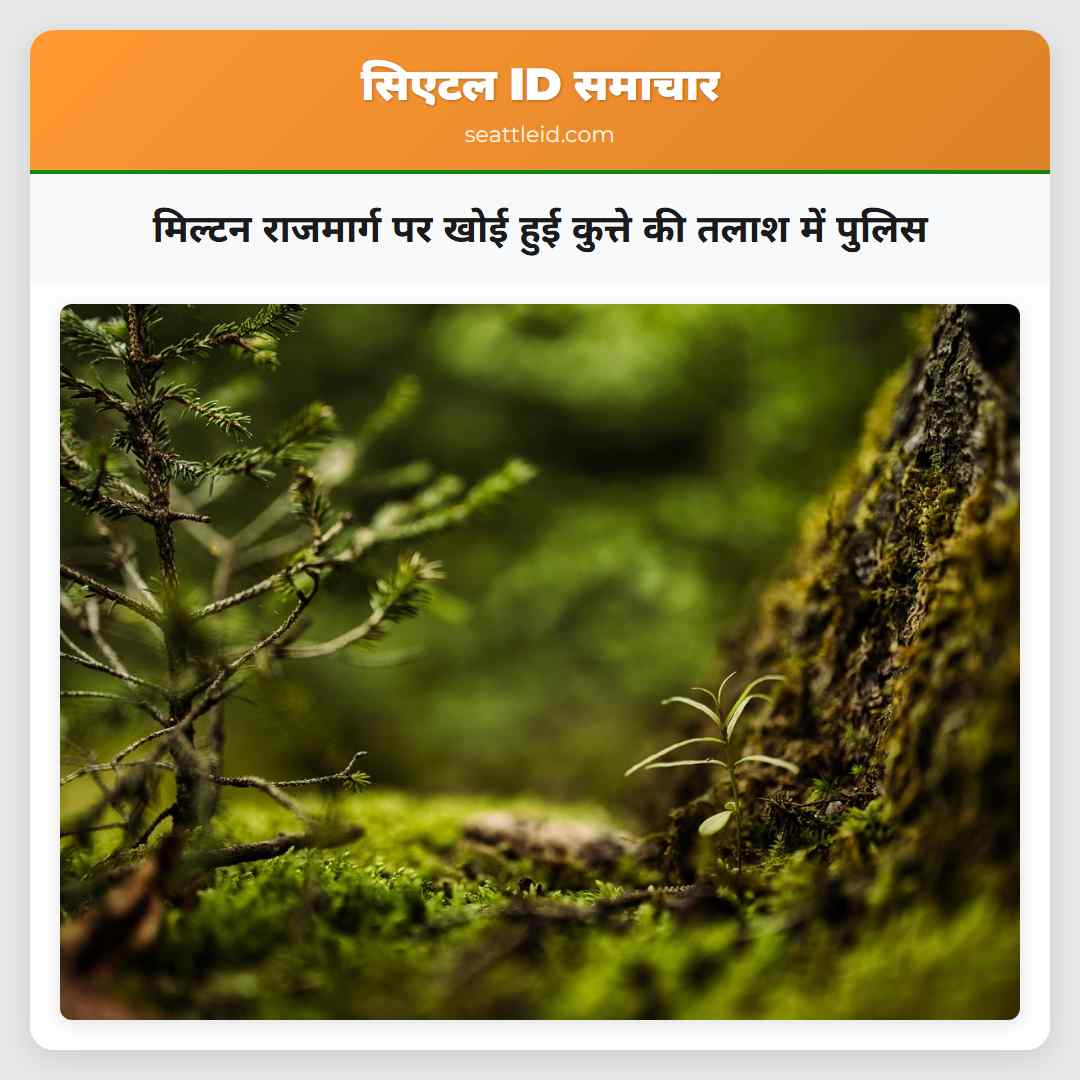 मिल्टन राजमार्ग पर खोई हुई कुत्ते की तलाश में पुलिस