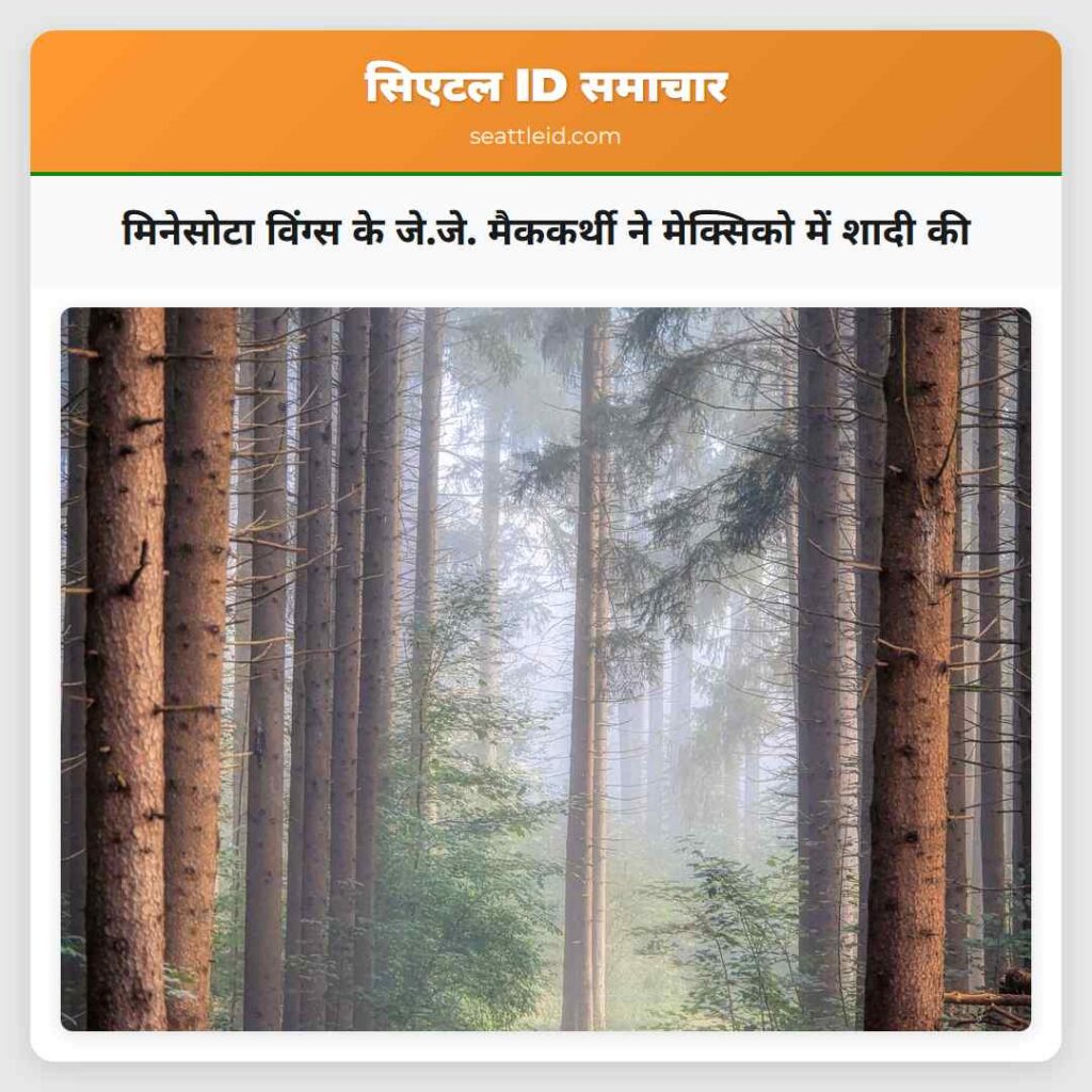 मिनेसोटा विंग्स के जे.जे. मैककर्थी ने मेक्सिको