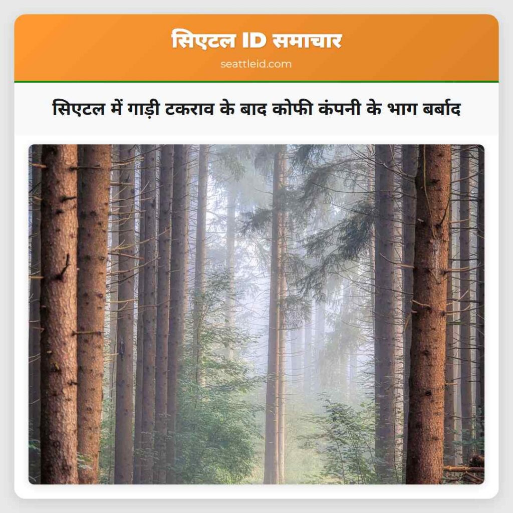 सिएटल में गाड़ी टकराव के बाद कोफी कंपनी के भाग