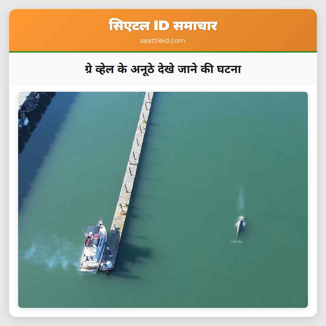 ग्रे व्हेल के अनूठे देखे जाने की घटना