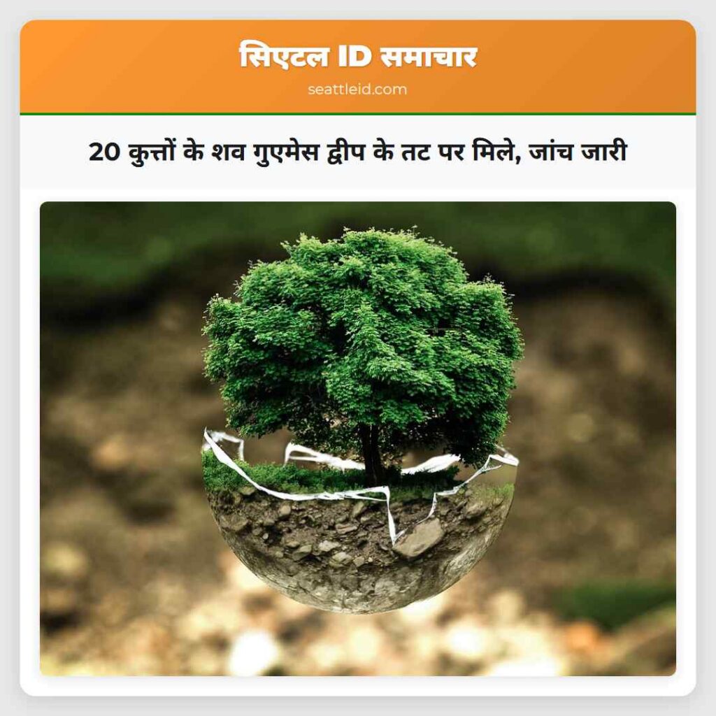 20 कुत्तों के शव गुएमेस द्वीप के तट पर मिले, जांच