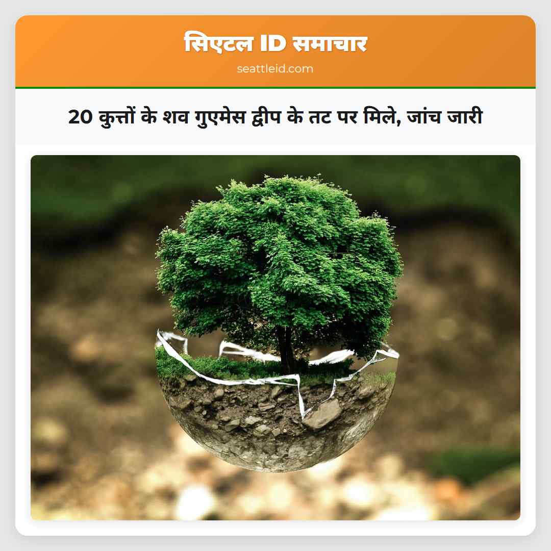 20 कुत्तों के शव गुएमेस द्वीप के तट पर मिले, जांच