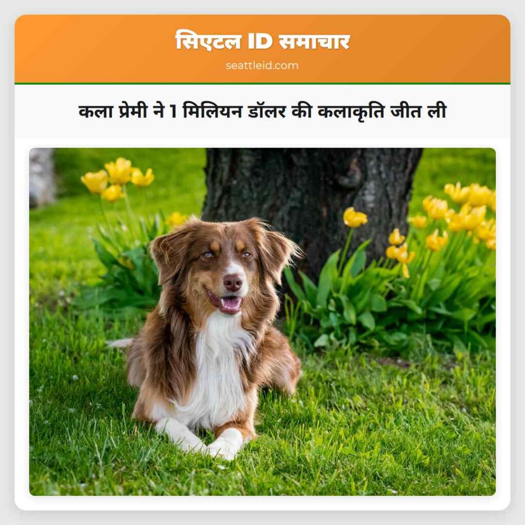 कला प्रेमी ने 1 मिलियन डॉलर की कलाकृति जीत ली