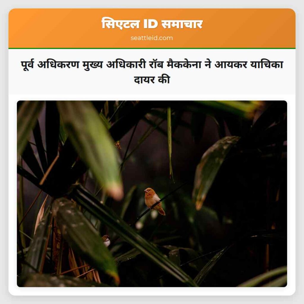 पूर्व अधिकरण मुख्य अधिकारी रॉब मैककेना ने आयकर