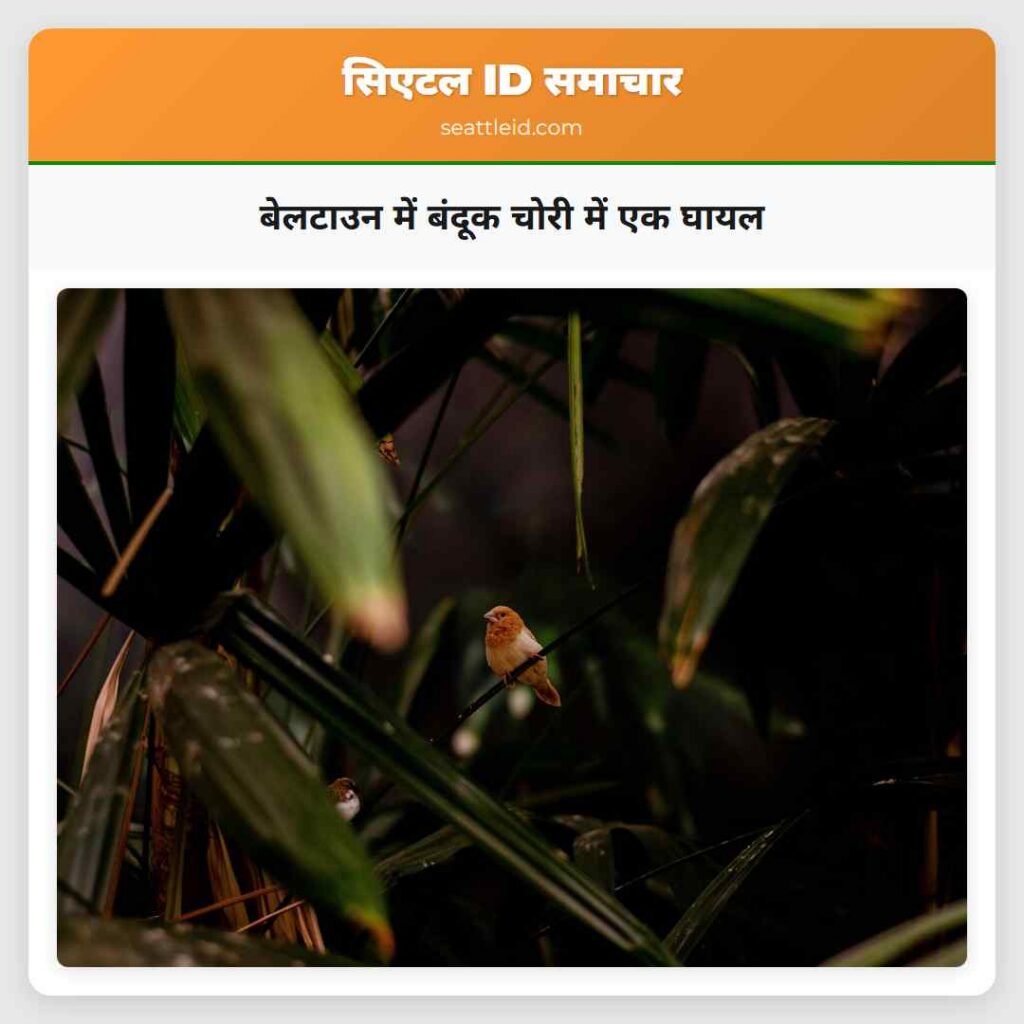 बेलटाउन में बंदूक चोरी में एक घायल