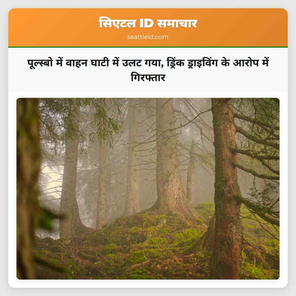 पूल्स्बो में वाहन घाटी में उलट गया, ड्रिंक