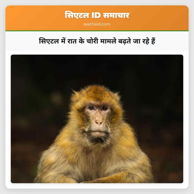 सिएटल में रात के चोरी मामले बढ़ते जा रहे हैं