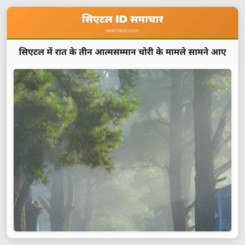 सिएटल में रात के तीन आत्मसम्मान चोरी के मामले