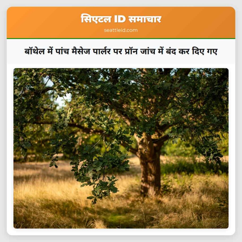 बॉथेल में पांच मैसेज पार्लर पर प्रॉन जांच में बंद