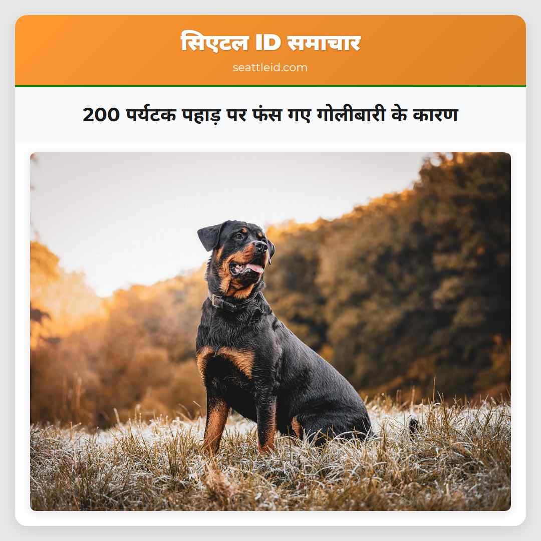 200 पर्यटक पहाड़ पर फंस गए गोलीबारी के कारण