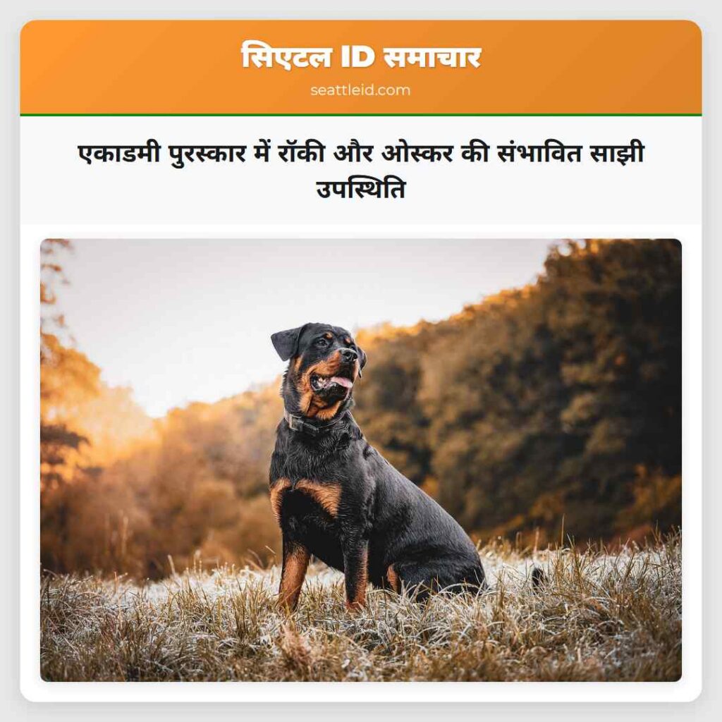 एकाडमी पुरस्कार में रॉकी और ओस्कर की संभावित साझी