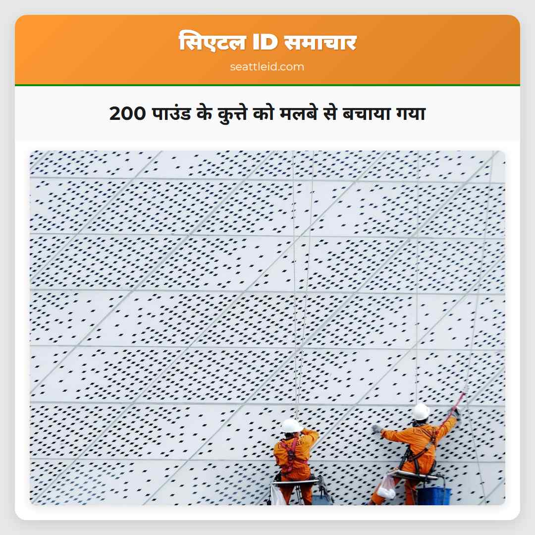 200 पाउंड के कुत्ते को मलबे से बचाया गया