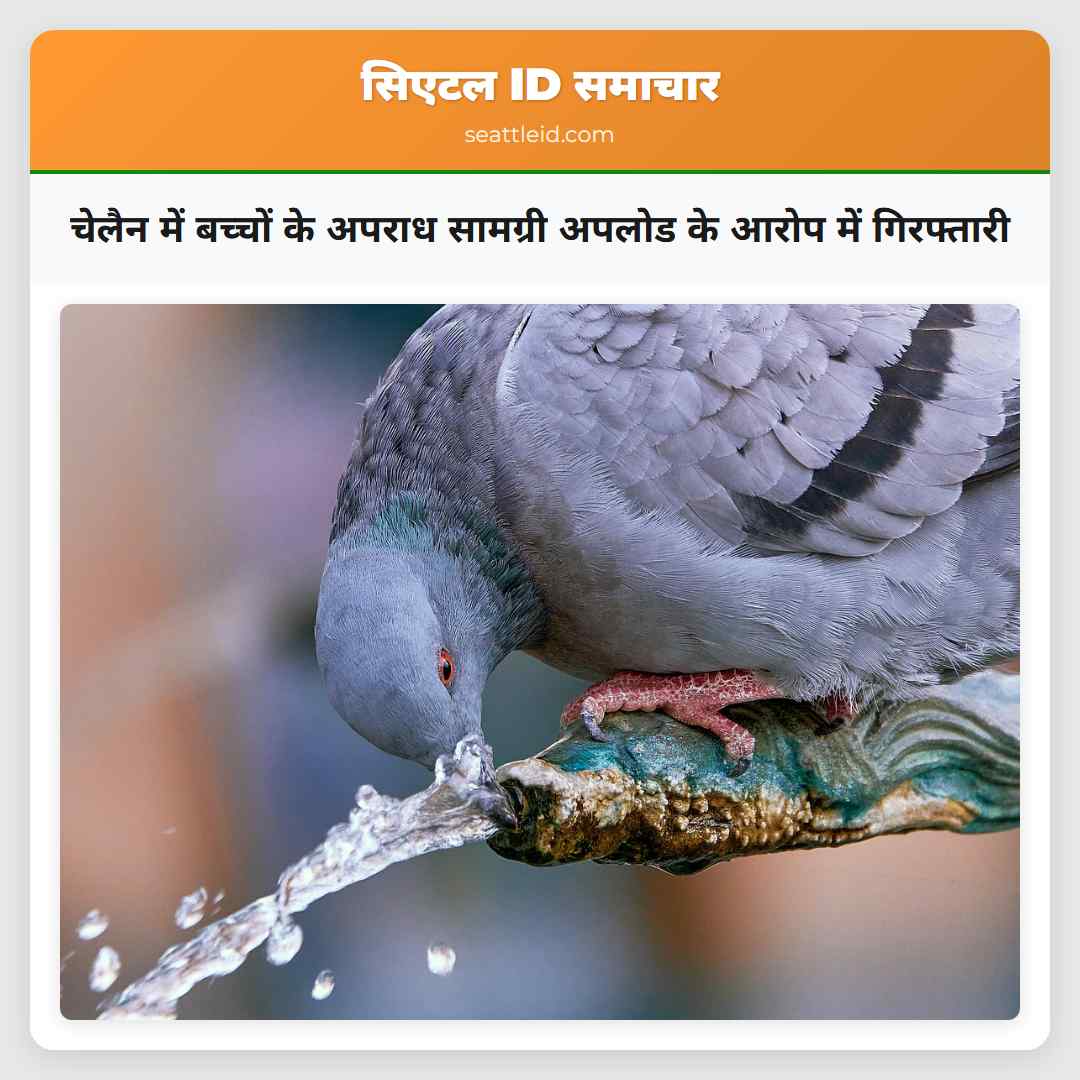 चेलैन में बच्चों के अपराध सामग्री अपलोड के आरोप